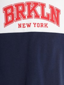 Худі та світшоти H&M модель 0877079_комб. Фото