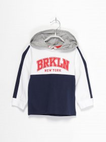Худі та світшоти H&M модель 0877079_комб. Фото