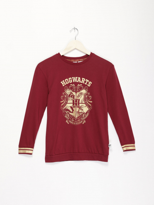 Худи и свитшоты H&M модель 0910423_бордовий комб. Фото
