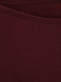 Худи и свитшоты H&M модель 0438333_т.бордовий Фото