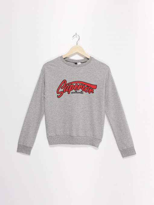 Худі та світшоти H&M модель 05704741_сірий комб. Фото