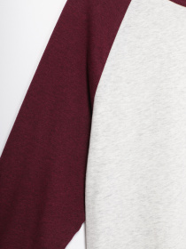 Худи и свитшоты H&M модель 0617726_с.сірий з бордовим Фото