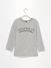 Худи и свитшоты H&M модель 0478720_сірий Фото