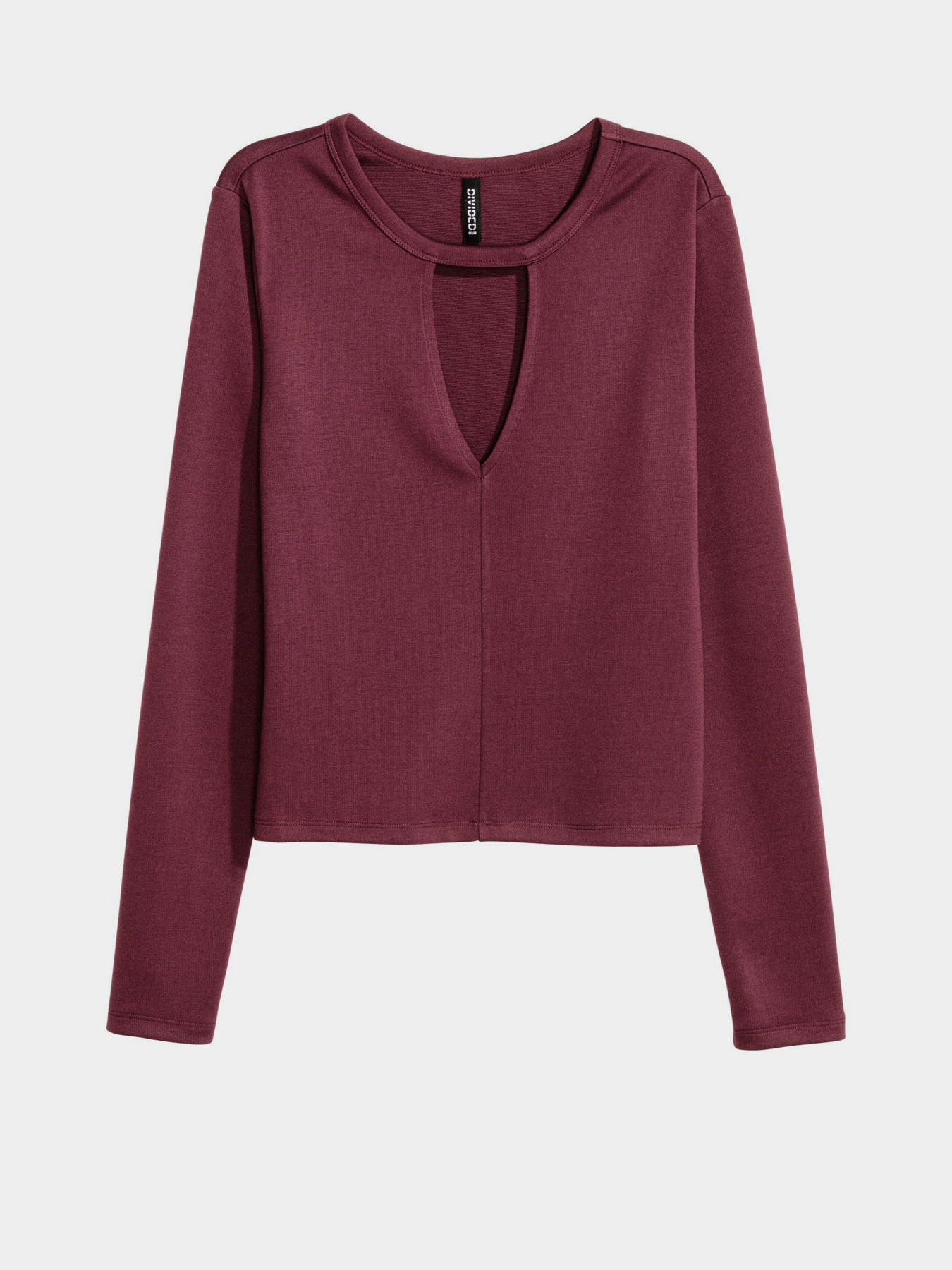 Худі та світшоти H&M модель 0425783_бордовий Худі та світшоти H&M модель 0425783_бордовий Фото