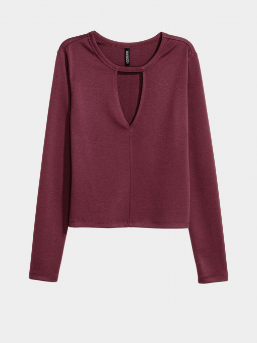 Худи и свитшоты H&M модель 0425783_бордовий Фото