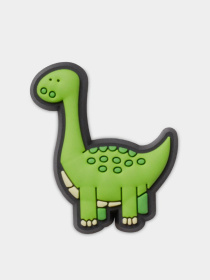 Аксессуары для обуви Jibbitz BOYS RULE GREEN DINO модель 10012737 Фото