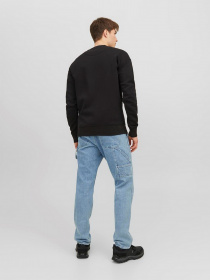 Худи и свитшоты JACK & JONES модель 12241694_Black Фото