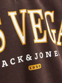 Худі та світшоти JACK & JONES модель 12257392_Seal Brown Фото