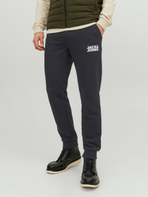 Брюки JACK & JONES модель 12178421_Black Фото