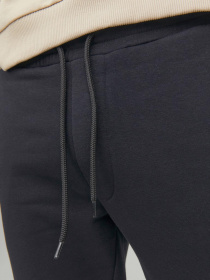 Брюки JACK & JONES модель 12178421_Black Фото