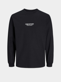 Худі та світшоти JACK & JONES модель 12251775_Black Фото