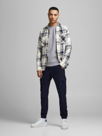 Худі та світшоти JACK & JONES модель 12181903_Light Grey Melange Фото