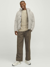 Куртки та дублянки JACK & JONES модель 12259850_Moonbeam Фото