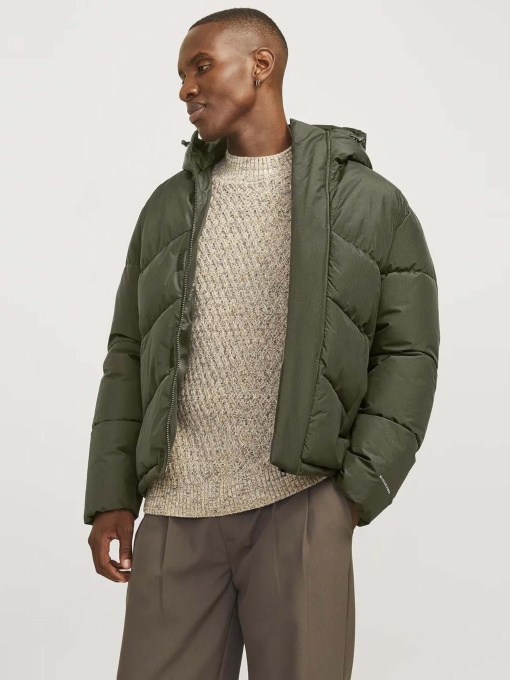 Куртки и дубленки JACK & JONES модель 12259850_Olive Night Фото