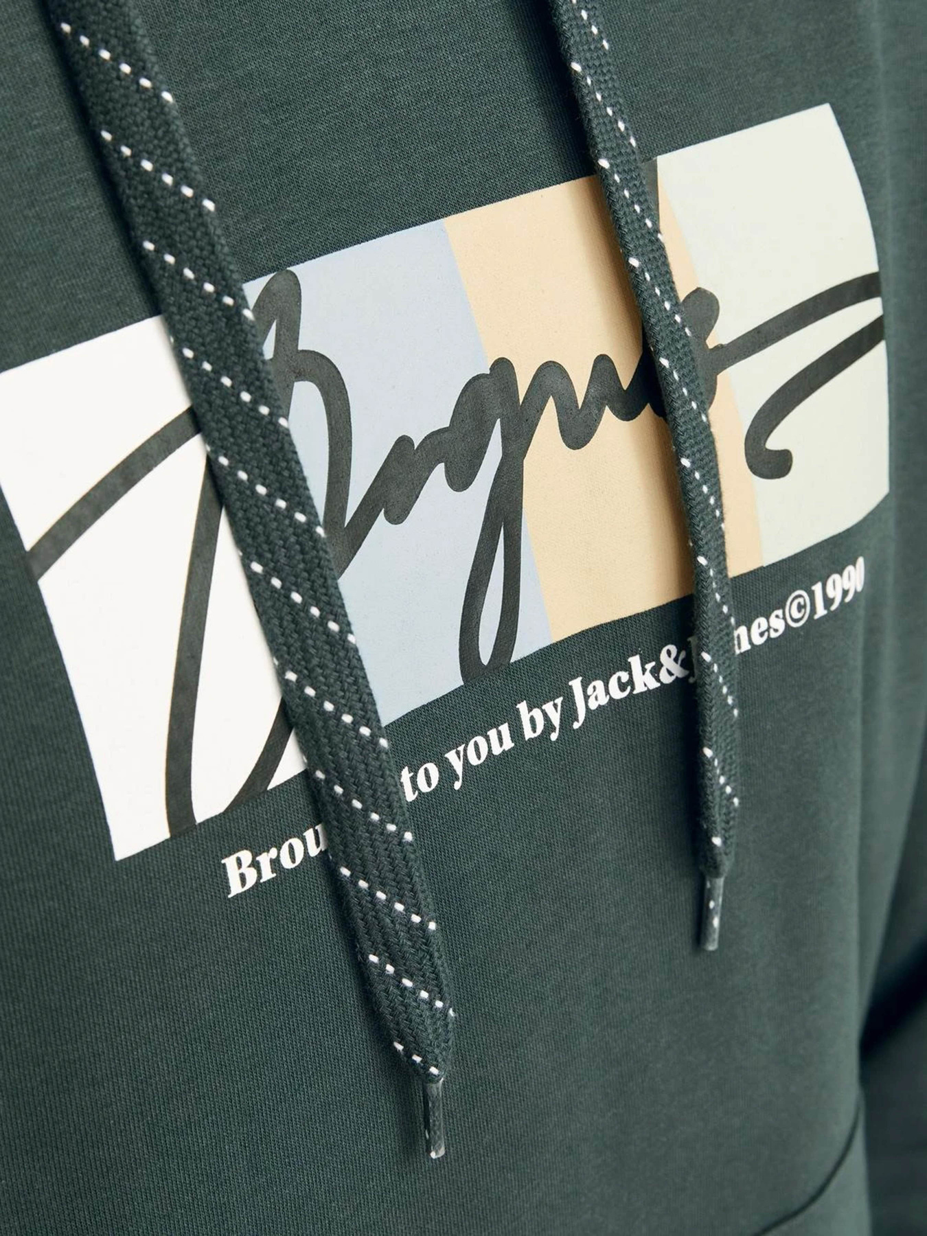 Худі та світшоти JACK & JONES модель 12262421_Forest River Худі та світшоти JACK & JONES модель 12262421_Forest River Фото