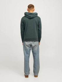 Худі та світшоти JACK & JONES модель 12262421_Forest River Фото