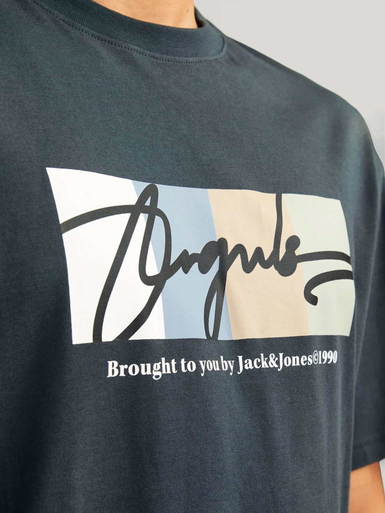 Футболки и поло JACK & JONES модель 12262662_Forest River Футболки и поло JACK & JONES модель 12262662_Forest River Фото