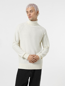 Светри та кардигани JACK & JONES модель 12260386_Cloud Dancer CYCLO 002 Фото