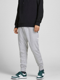 Брюки JACK & JONES модель 12184970_Light Grey Melange Фото