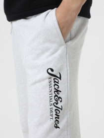 Штани JACK & JONES модель 12268768_White Melange Фото