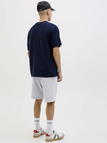 Шорты JACK & JONES GORDON BRADLEY SWEAT SHORTS модель 12249285_Light Grey Melange Фото