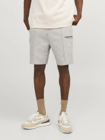 Шорти JACK & JONES модель 12252251_Moonbeam Фото