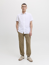 Штани JACK & JONES KANE TROY CUFFED JOGGER модель 12278949_Elmwood Фото