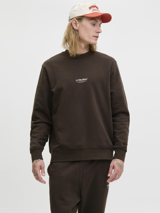 Худі та світшоти JACK & JONES SOHO SWEAT CREW NECK модель 12278791_Delicioso Фото
