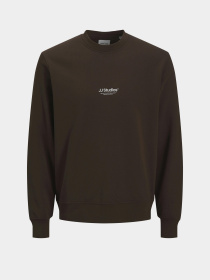 Худі та світшоти JACK & JONES SOHO SWEAT CREW NECK модель 12278791_Delicioso Фото