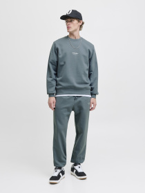 Худі та світшоти JACK & JONES SOHO SWEAT CREW NECK модель 12278791_Stormy Weather Фото