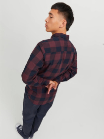 Сорочки JACK & JONES GINGHAM TWILL SHIRT модель 12181602_Port Royale SLIM FIT Фото
