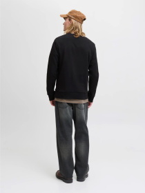 Худі та світшоти JACK & JONES BRANDY SWEAT CREW NECK модель 12279256_Black Фото