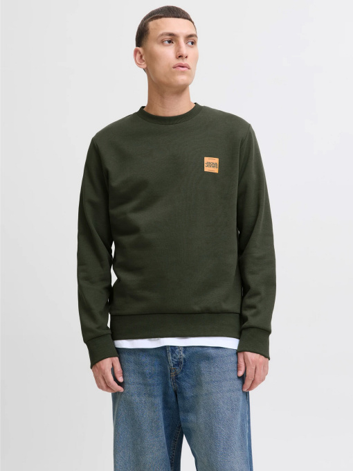 Худи и свитшоты JACK & JONES BRANDY SWEAT CREW NECK модель 12279256_Duffel Bag Фото