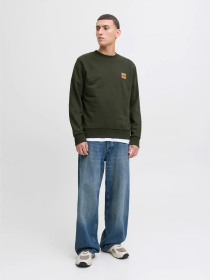 Худі та світшоти JACK & JONES BRANDY SWEAT CREW NECK модель 12279256_Duffel Bag Фото