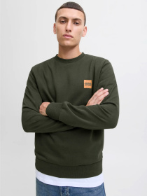 Худі та світшоти JACK & JONES BRANDY SWEAT CREW NECK модель 12279256_Duffel Bag Фото