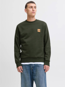Худи и свитшоты JACK & JONES BRANDY SWEAT CREW NECK модель 12279256_Duffel Bag Фото