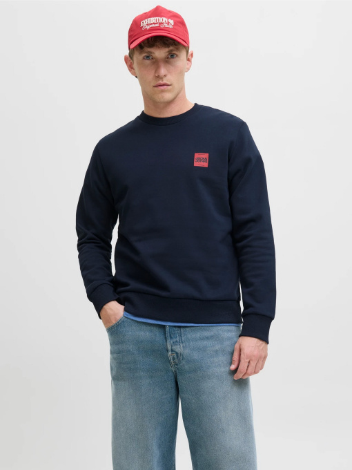 Худі та світшоти JACK & JONES BRANDY SWEAT CREW NECK модель 12279256_Sky Captain Фото