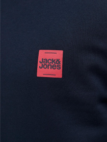 Худі та світшоти JACK & JONES BRANDY SWEAT CREW NECK модель 12279256_Sky Captain Фото