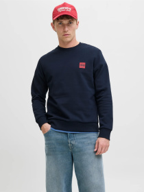 Худі та світшоти JACK & JONES BRANDY SWEAT CREW NECK модель 12279256_Sky Captain Фото