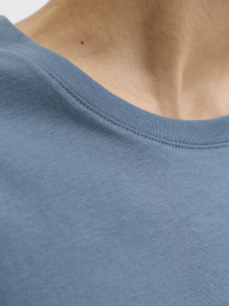 Футболки и поло JACK & JONES ORGANIC BASIC TEE модель 12156101_Blue Mirage Фото