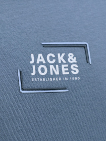 Футболки и поло JACK & JONES CORP GRAPHIC TEE модель 12268415_Blue Mirage Фото