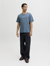 Футболки и поло JACK & JONES CORP GRAPHIC TEE модель 12268415_Blue Mirage Фото