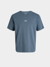 Футболки и поло JACK & JONES CORP GRAPHIC TEE модель 12268415_Blue Mirage Фото