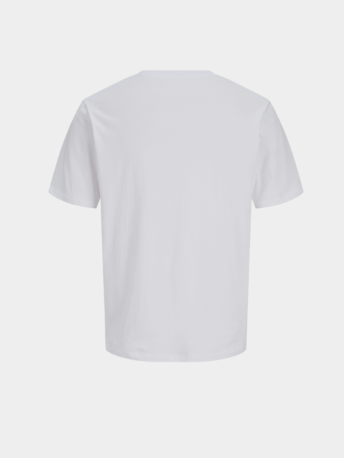 Футболки и поло JACK & JONES DEVIN DAYTONA PRINT TEE модель 12290173_Bright White Футболки и поло JACK & JONES DEVIN DAYTONA PRINT TEE модель 12290173_Bright White Фото
