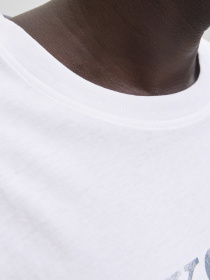 Футболки и поло JACK & JONES DEVIN DAYTONA PRINT TEE модель 12290173_Bright White Фото