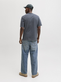 Футболки и поло JACK & JONES NORREBRO STRIPE TEE модель 12291021_Sky Captain Фото