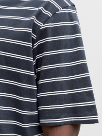 Футболки и поло JACK & JONES NORREBRO STRIPE TEE модель 12291021_Sky Captain Фото