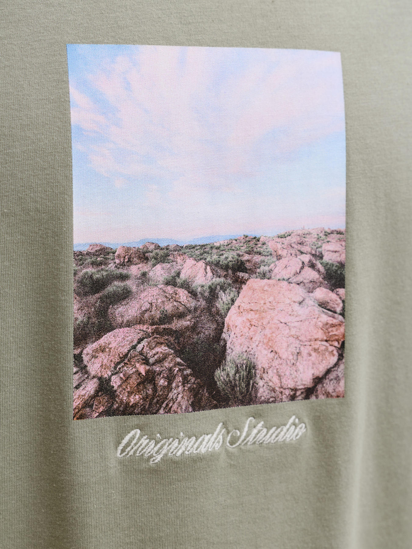 Футболки и поло JACK & JONES NORREBRO PHOTO TEE модель 12291022_Seagrass Футболки и поло JACK & JONES NORREBRO PHOTO TEE модель 12291022_Seagrass Фото
