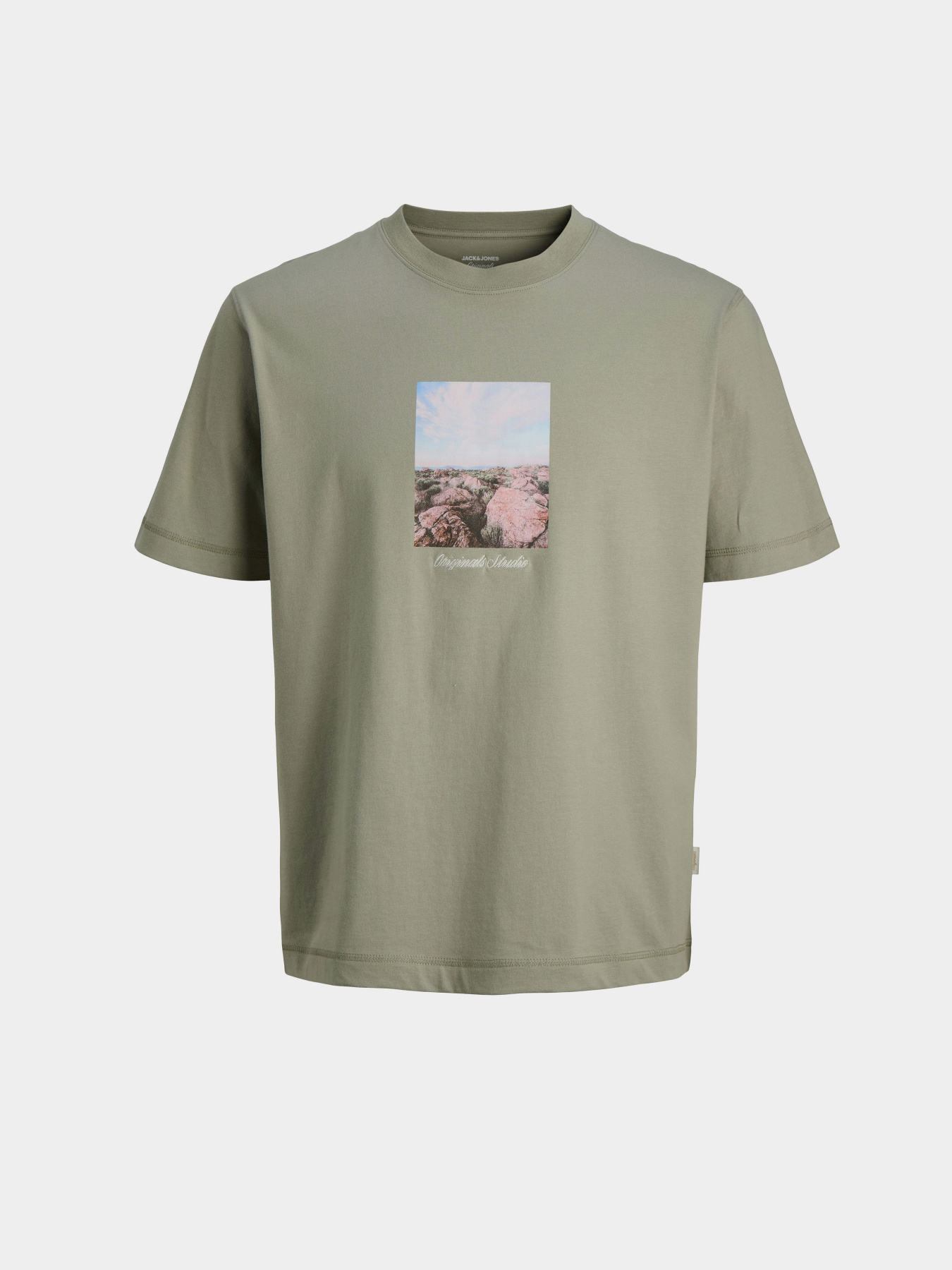 Футболки и поло JACK & JONES NORREBRO PHOTO TEE модель 12291022_Seagrass Футболки и поло JACK & JONES NORREBRO PHOTO TEE модель 12291022_Seagrass Фото