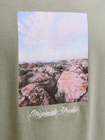 Футболки и поло JACK & JONES NORREBRO PHOTO TEE модель 12291022_Seagrass Фото